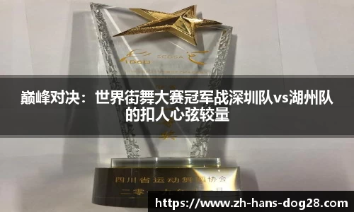 巅峰对决:世界街舞大赛冠军战深圳队vs湖州队的扣人心弦较量